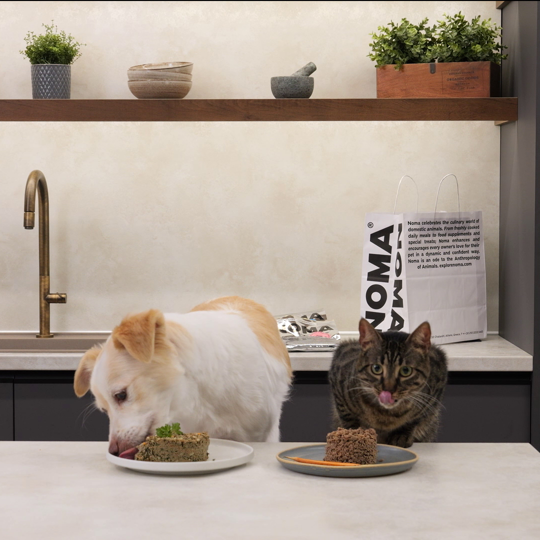 Μαγειρευτό φαγητό για Σκύλους και Γάτες